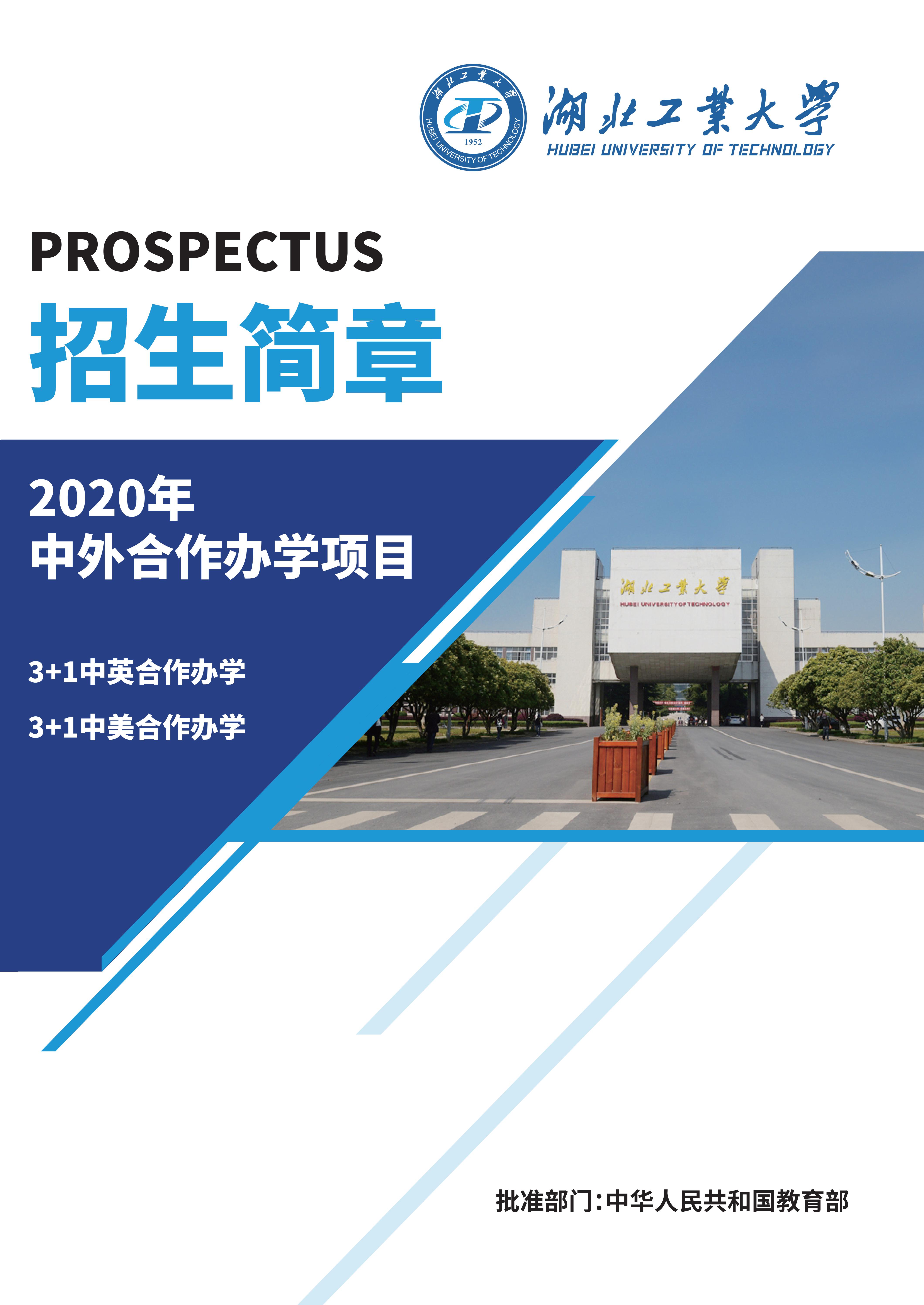 2020年中外合作办学项目招生简章