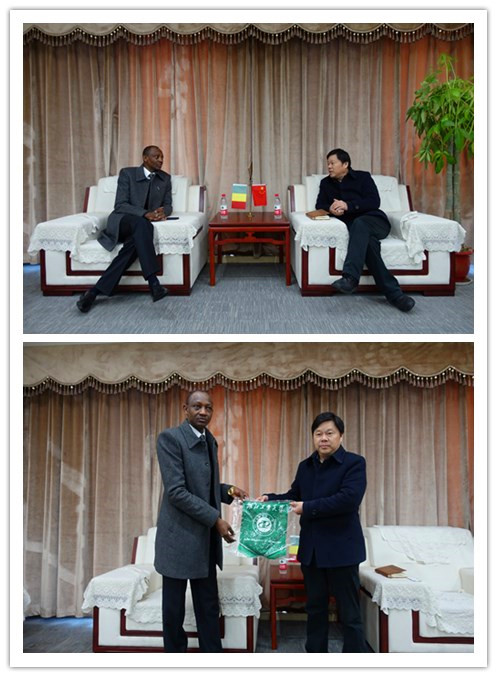 The Counselor from Embassy the Republic of Mali in China visits our university